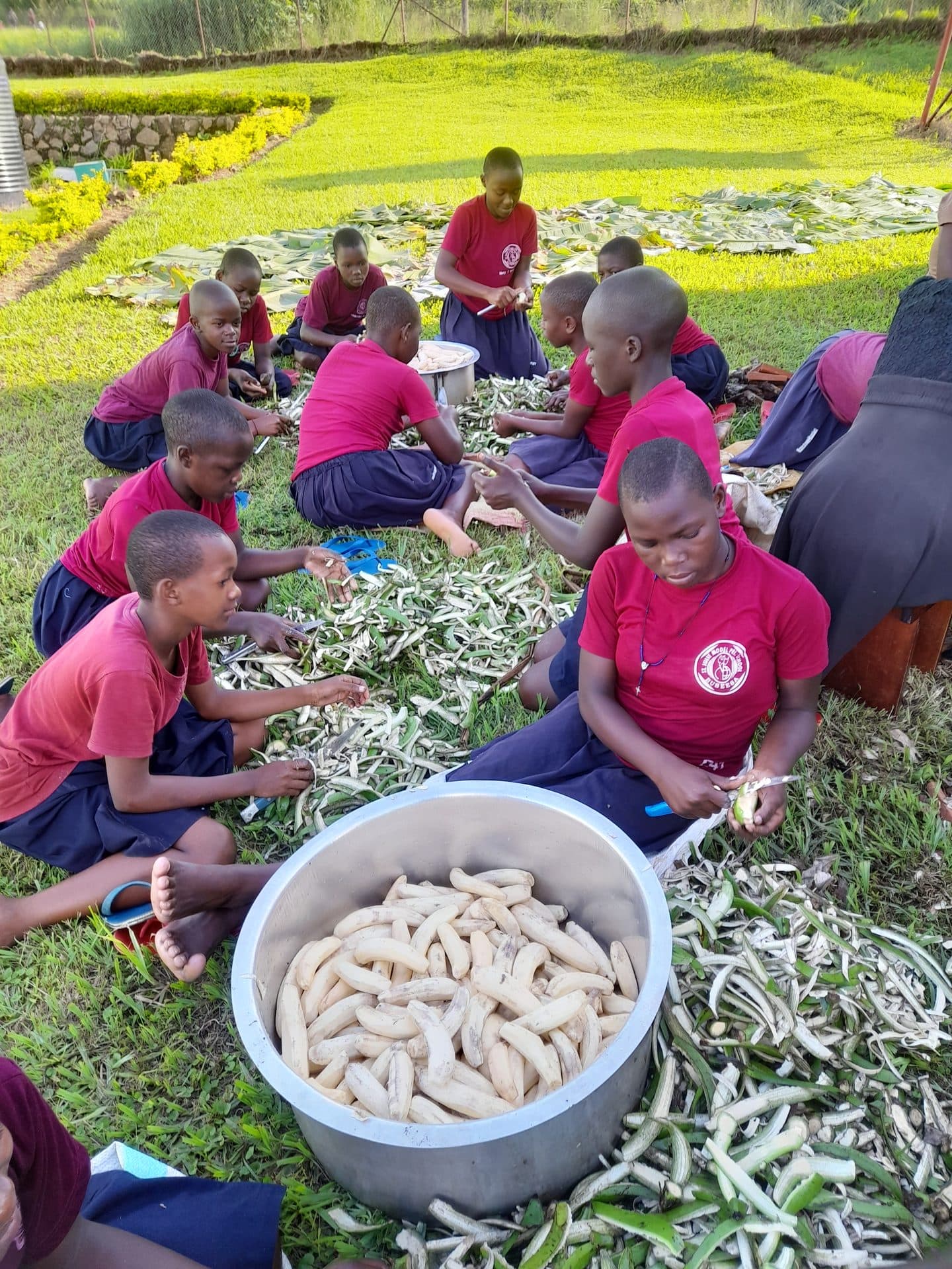 Learners preparing matooke for a school meal